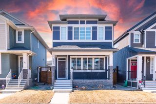 Main Photo: 202 Evanscrest Place NW in Calgary: Evanston Detached for sale : MLS®# A2115608