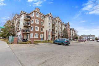 Photo 20: 4103 73 Erin Woods Court SE in Calgary: Erin Woods Apartment for sale : MLS®# A1202624