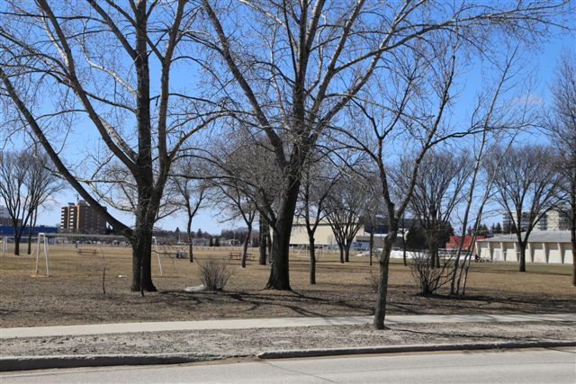 Photo 23: Photos: 533 Nathaniel Street in Winnipeg: River Heights Single Family Detached for sale (South Winnipeg)  : MLS®# 1608534