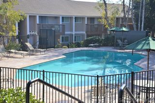 Photo 15: COLLEGE GROVE Condo for rent : 2 bedrooms : 6333 College Grove Way #1117 in San Diego