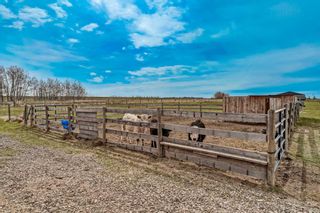 Photo 41: 100 72132 594 Avenue E: Rural Foothills County Detached for sale : MLS®# A2126010
