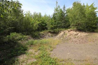 Photo 8: 9066 Highway 215 in Pembroke: 403-Hants County Vacant Land for sale (Annapolis Valley)  : MLS®# 202015557
