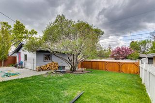 Photo 42: 9719 3 Street SE in Calgary: Acadia Detached for sale : MLS®# A1221072