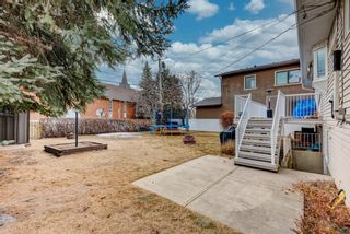 Photo 32: 3531 Morley Trail NW in Calgary: Banff Trail Detached for sale : MLS®# A1178405