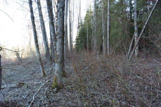 Photo 5: LOT A KLOECKNER Road in Smithers: Smithers - Rural Land for sale (Smithers And Area (Zone 54))  : MLS®# R2598861