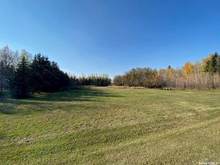 Photo 23: 12.62 Acre port.of Sw-01-46-12-W2 in Arborfield: Residential for sale (Arborfield Rm No. 456)  : MLS®# SK910653