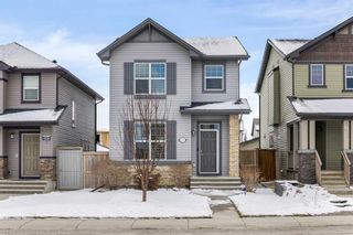 Photo 1: 51 Skyview Point Road NE in Calgary: Skyview Ranch Detached for sale : MLS®# A2125716