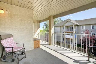 Photo 17: 320 3000 Citadel Meadow Point NW in Calgary: Citadel Apartment for sale : MLS®# A1244571
