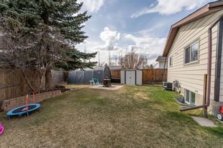 Photo 21: 112 Abbercove Way SE in Calgary: Abbeydale Detached for sale : MLS®# A1214049