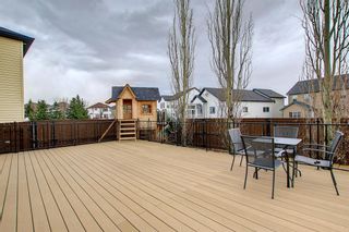 Photo 38: 42 Martha's Place NE in Calgary: Martindale Detached for sale : MLS®# A1203150