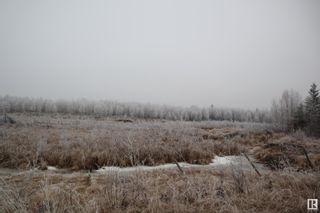 Photo 26: 49252 Rge Rd 42: Rural Leduc County Vacant Lot/Land for sale : MLS®# E4369568