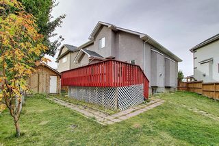 Photo 44: 11 SHERWOOD Grove NW in Calgary: Sherwood Detached for sale : MLS®# A1036541