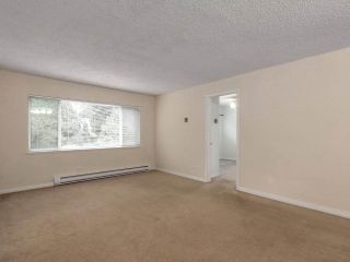 Photo 11: 1259 PLATEAU DRIVE in North Vancouver: Pemberton Heights Condo for sale : MLS®# R2495881