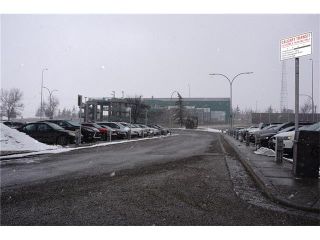 Photo 43: 1020 28 Street SE in Calgary: Albert Park/Radisson Heights House for sale : MLS®# C4101081