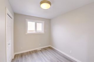 Photo 26: 3306 Catalina Boulevard NE in Calgary: Monterey Park Detached for sale : MLS®# A1258651