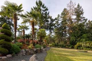 Photo 67: 2495 Shannon Pl in Saanich: SE Queenswood House for sale (Saanich East)  : MLS®# 954863
