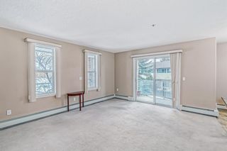 Photo 11: 246 165 Manora Place NE in Calgary: Marlborough Park Apartment for sale : MLS®# A2021263