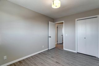 Photo 16: 3812 49 Street NE in Calgary: Whitehorn Detached for sale : MLS®# A1054455