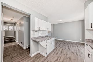 Photo 15: 111 Pinemill Mews NE in Calgary: Pineridge Detached for sale : MLS®# A2115447