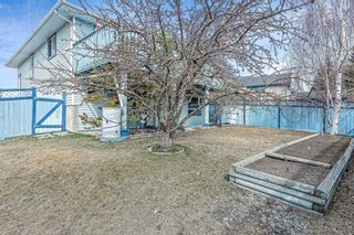 Photo 40: 103 Citadel Pass Court NW in Calgary: Citadel Detached for sale : MLS®# A1086405