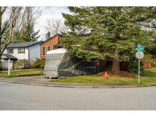 Photo 36: 14951 92A Avenue in Surrey: Fleetwood Tynehead House for sale : MLS®# R2539552
