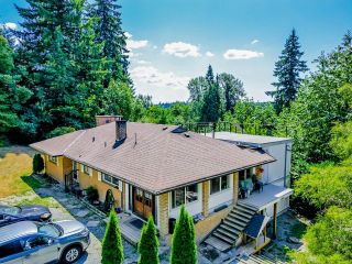Photo 13: 24628 RIVER Road in Maple Ridge: Albion Industrial for sale : MLS®# C8053886