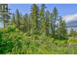 Photo 8: 3541 20 Street NE in Salmon Arm: Vacant Land for sale : MLS®# 10303977