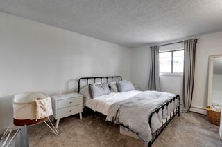 Photo 13: 407 930 18 Avenue SW in Calgary: Lower Mount Royal Apartment for sale : MLS®# A2076064