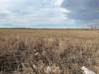 Photo 4: 121028 272 Avenue E: Rural Foothills County Residential Land for sale : MLS®# A2119936