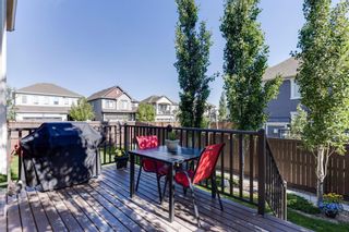 Photo 44: 302 Windridge View SW: Airdrie Detached for sale : MLS®# A1234786