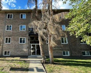 Main Photo: 33 1230 Cameron Avenue SW in Calgary: Lower Mount Royal Apartment for sale : MLS®# A2107325