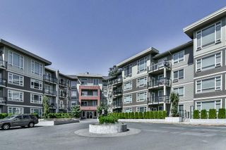 Main Photo: C412 20211 66 Avenue in Langley: Willoughby Heights Condo for sale in "ELEMENTS" : MLS®# R2199053