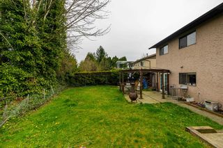 Photo 32: 19779 116A Avenue in Pitt Meadows: South Meadows House for sale : MLS®# R2772075