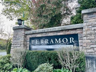 Main Photo: 141 9133 GOVERNMENT Street in Burnaby: Government Road Townhouse for sale in "Terramor by Polygon" (Burnaby North)  : MLS®# R2874305