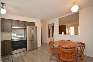 Photo 10: 3232 Doverville Crescent SE in Calgary: Dover Detached for sale : MLS®# A2011662
