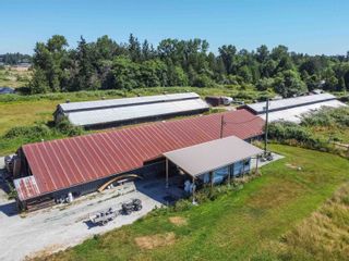 Photo 14: 1297-1381 184 Street in Surrey: Hazelmere Agri-Business for sale (South Surrey White Rock)  : MLS®# C8057574