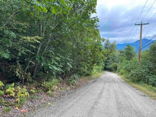 Photo 3: 22793 ROSS Road: Hope Land for sale (Hope & Area)  : MLS®# R2801458