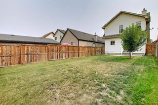 Photo 46: 159 Copperstone Grove SE in Calgary: Copperfield Detached for sale : MLS®# A1138819