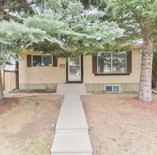 Photo 1: 52 Appletree Road in Calgary: Applewood Park Detached for sale : MLS®# A1216813