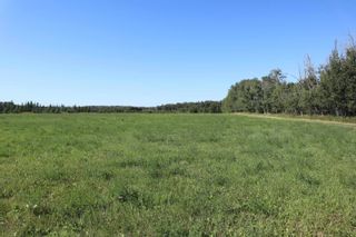 Photo 5: Hwy 622 RR 15: Rural Leduc County Rural Land/Vacant Lot for sale : MLS®# E4261453