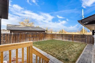 Photo 38: 64 Maple Court Crescent SE in Calgary: Maple Ridge Detached for sale : MLS®# A2120160