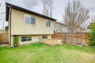 Photo 38: 211 Cranberry Way SE in Calgary: Cranston Detached for sale : MLS®# A1217518