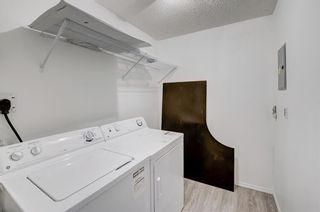 Photo 32: 319 290 Shawville Way SE in Calgary: Shawnessy Apartment for sale : MLS®# A2003821