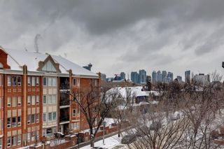 Photo 17: 304 835 19 Avenue SW in Calgary: Lower Mount Royal Apartment for sale : MLS®# A2106747