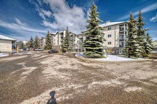 Photo 2: 411 55 Arbour Grove Close NW in Calgary: Arbour Lake Apartment for sale : MLS®# A2123411
