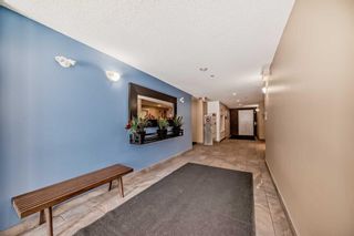 Photo 4: 3305 279 Copperpond Common SE in Calgary: Copperfield Apartment for sale : MLS®# A2122177