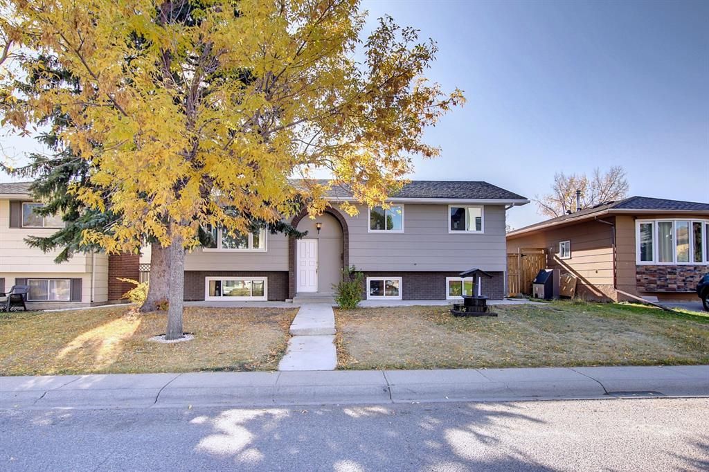 Main Photo: 527 Whitehorn Way NE in Calgary: Whitehorn Detached for sale : MLS®# A2006657