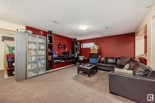 Photo 38: 4606 160 Avenue NW in Edmonton: Zone 03 House for sale : MLS®# E4384051