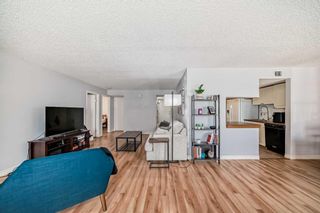 Photo 12: 201 1625 14 Avenue SW in Calgary: Sunalta Apartment for sale : MLS®# A2130864