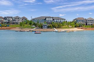Photo 49: 87 Marquis Cove SE in Calgary: Mahogany Detached for sale : MLS®# A1211583
